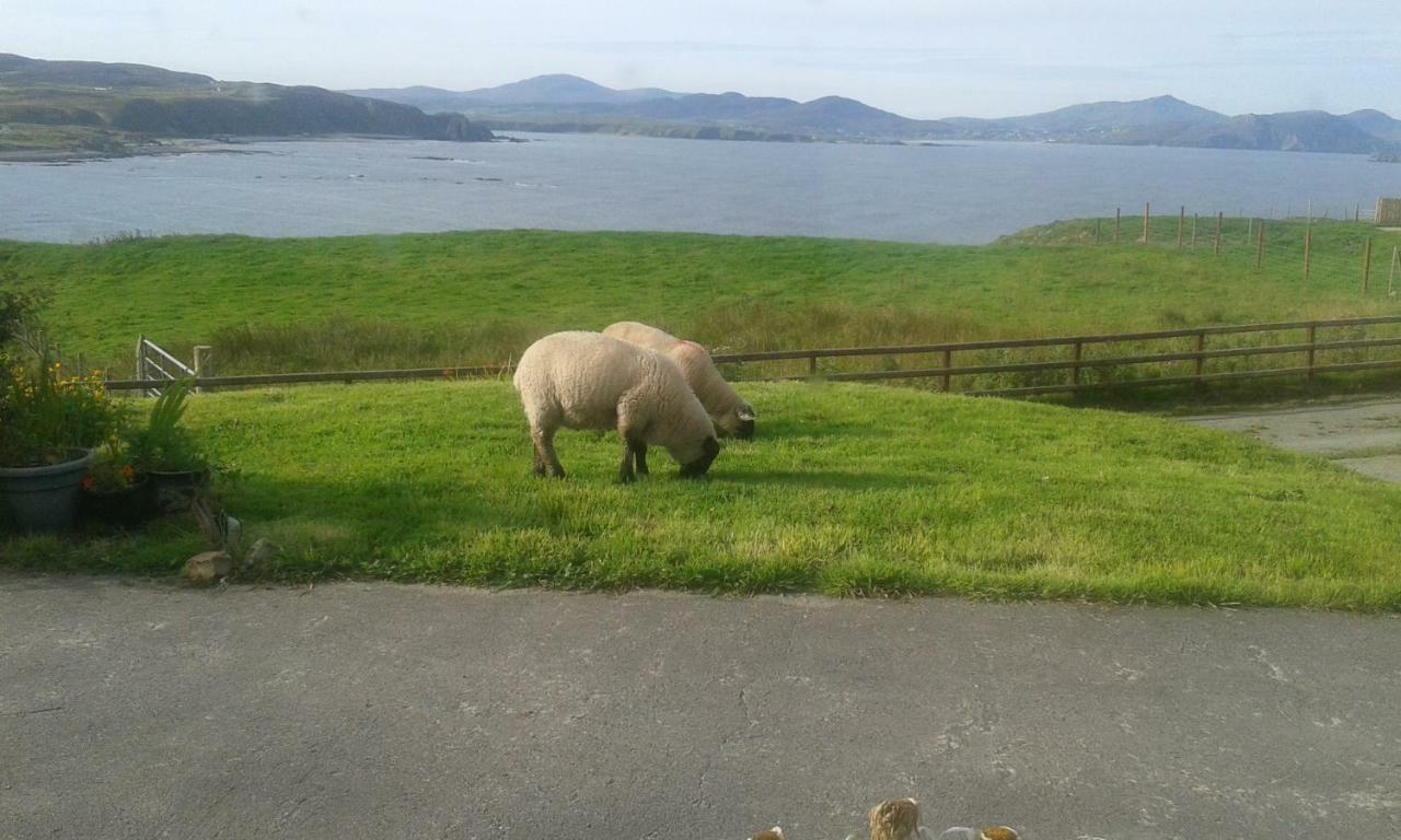 B&B The Red Door Cottage Donegal Town Exterior foto